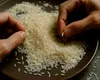 Orez cu aresenic, plumb şi alte metale grele. Acuzaţii extrem de grave, sunt vizate 18 tipuri de orez