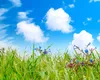 Horoscop 18 mai 2025. Nu pune la suflet micile motive de supărare care mai apar la orizont. Un mare noroc apare în calea unei zodii