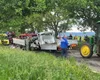 Tragedie! 3 persoane și-au pierdut viața într-un accident produs în Vrancea