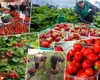 Cât costă 1 kilogram de căpșune românești în Carrefour. Ce au descoperit inspectorii ANPC în supermarket