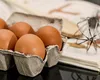 Câte ouă poți să mănânci pe zi fără să ai probleme de sănătate. Evită să faci excese ca să nu ai probleme cu ficatul