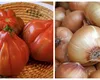 Incredibil! Cum a rămas România fără peste 2.600 de soiuri de legume și fructe. Nu mai avem ceapa aurie de Buzău și roșiile ”inimă de bou”!