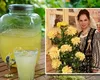 Socată delicioasă care amintește de gustul copilăriei. Trucul Gherghinei Stancu