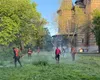 Hotărârea care a înfuriat timișorenii. Cetățenii trebuie să tundă iarba de pe domeniul public