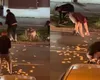O femeie din Timișoara a aruncat pe jos 13.000 de euro. Oamenii s-au îngrămădit să îi strângă