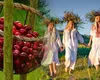 Calendar ortodox iunie 2025. Sărbători religioase în iunie 2025. Tradiţii şi superstiţii de Rusalii, de Sânziene, de Sânpetru de vară