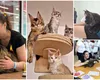 Afacerea inedită cu care femeie din România a dat lovitura! Cumpărătorii, trecuți pe listele de așteptare