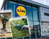 Ce pot cumpăra românii de la Lidl în perioada 23-29 iunie. Top 7 produse pentru grădină și atelier