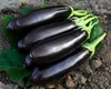 Cum trebuie udate vinetele pentru a nu fi amare. Cultivatorii experimentați dezvăluie ”secretul” recoltei perfecte