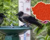 Prognoza meteo. Vreme de plajă, căldura se întoarce în luna lui Cuptor. Temperaturi sufocante pe litoral şi chiar la munte