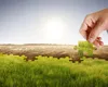 Horoscop anual: 6 ZODII primesc o îmbunătățire MAJORĂ a VIEȚII de acum până în iunie 2026