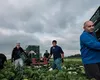 Vești proaste pentru românii care muncesc în Germania. Vor fi direct afectați de deciziile patronilor