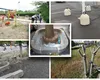 Un oraș cu rădăcinile sufocate: criza spațiului verde în București