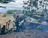 Tragedie în Brașov! Un tânăr în vârstă de 27 de ani a murit după ce un copac a căzut peste el
