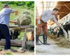 Se dau bani de la stat. Cine sunt românii care beneficiază de sprijin financiar în valoare de peste 48,5 milioane de lei
