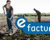 e-Factura 2025. Obligația utilizării sistemului se amână până la 1 octombrie pentru micii producători agricoli