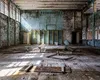 Colosul industrial, cu mii de angajați în comunism, a ajuns o ruină. Hoții fură pe capete din fabrică