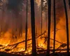 Stare de urgență în Grecia din cauza incendiilor de vegetație. Arde una dintre insulele preferate ale românilor