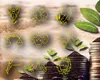 3 zodii atrag banii ca un magnet în luna iulie! Nativii care se vor bucura de abundență pe plan financiar