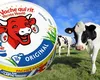 Ce ingrediente conține brânza topită „La Vache qui rit”. Cât de sănătoastă este, de fapt, brânzica preferată a copiilor