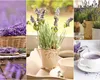 Ce poți face cu lavanda uscată. 3 moduri în care o poți utiliza cu ușurință