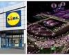 Lidl dă gratis invitații duble la ”Beach, Please!”. CUM poți obține una. CÂND expiră oferta