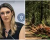 Veste proastă pentru fermieri. Anunțul făcut de Ministerul Mediului: „Un obiectiv esențial pentru viitorul României”