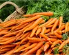 Motivul pentru care nu trebuie să plantezi anumite legume lângă morcovi. Sfaturi pentru o cultură sănătoasă și bogată