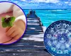 Trei zodii sunt călare pe un val de noroc uluitor până la finalul lui iunie 2025. Primesc daruri dumnezeieşti și pun mâna pe sacul cu bani de la Loto, o moştenire sau prima de jumătate de an