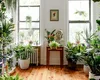 Planta sfântă care nu trebuie să-ți lipsească din casă. Te scapă de durerea de cap și de crampe