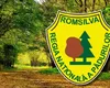 Curtea de Conturi a găsit prime necuvenite de 42 MILIOANE de EURO la Romsilva. Scandal în fieful sinecuriștilor, unde directorii primeau bonusuri de 100.000 de euro