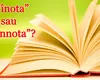 Cum se scrie corect – „a înota” sau „a înnota”? Cuvintele din limba română care au doi de „n”