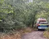 Descoperire șocantă la marginea Timișoarei. Un afacerist a fost găsit mort în pădure