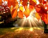 După o vară caniculară, meteorologii anunță o toamnă cu temperaturi neașteptate. Schimbările climatice au pus stăpânire pe România