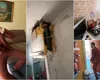 Cum arată cel mai urât apartament din București și ce preț are „grota anului”, potrivit lui Șerban Trîmbițașu