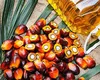 Cel mai TOXIC ulei din comerț. Românii îl consumă zilnic fără să știe cât de periculos este pentru sănătate