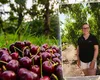Cum a ajuns Ana Maria antreprenor în agricultură peste hotare. Povestea româncei care exportă cireșe în întreaga Europă