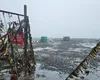 Cutremurul din Extremul Orient, în topul celor mai puternice seisme din toate timpurile