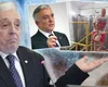 Firma viticolă a lui Mugur Isărescu, respinsă la o cerere de fonduri UE. Proiectele regenerabile din agricultură care au fost acceptate