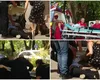 VIDEO Scene dramatice la priveghiul soțului Irinei Loghin. Cântăreața a fost sprijinită pe drumul spre capelă, ”Regina întunericului” a leșinat!