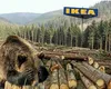 IKEA: Nu desfășurăm nicio activitate forestieră comercială în zonele desemnate la nivel național ca parte a patrimoniului forestier protejat al României”