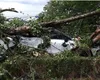 Alerte ANM pe bandă rulantă. Prăpăd în toată ţara după furtuna apocaliptică de la Sinaia. Judeţele lovite de urgie în orele următoare FOTO şi VIDEO