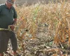PSD solicită o poziţie unitară a României pentru apărarea agriculturii naţionale: ”Hrana şi securitatea alimentară nu pot fi condiţionate!”