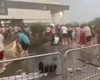 Furtuna a făcut prăpăd la Timișoara! Copac prăbușit peste un tânăr, oameni răniți de corturi și prelate smulse de vânt la un concert VIDEO