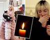Ana Morodan este in DOLIU! Contesa digitală este devastată: „A căzut de la etajul 7. A murit pe loc. Fără durere”