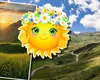 Prognoza meteo. Caniculă extremă, urmată de ploi torenţiale, grindină şi descărcări electrice. Oana Păduraru are ultimele hărţi meteo