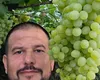 Un fruct banal generează un venit uriaș pentru un fermier român. Este foarte accesibil și nu este scump