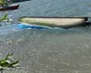 Incident grav în Delta Dunării. Bărcă răsturnată cu 13 turiști, patru sunt în stop cardiorespirator, fiind resuscitate. Autoritățile sunt în alertă