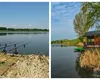 Afacerea de lângă București care a înflorit. Românii care se ocupă cu așa ceva au dat lovitura