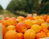 Tone de caise false românești se vând în piețe. Oamenii cer autorităților să facă controale: „Nu există așa ceva. Nu a fost producție din cauza înghețului”